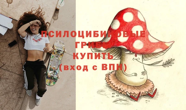 герыч Алексин