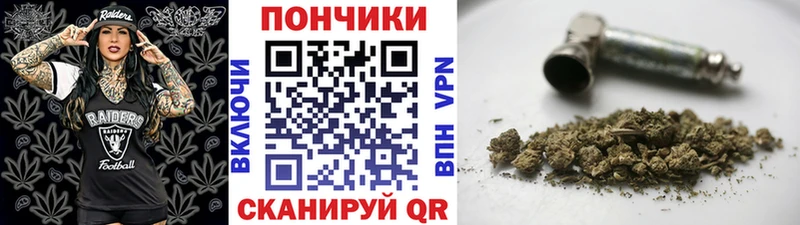 МАРИХУАНА конопля  купить закладку  Новоузенск 